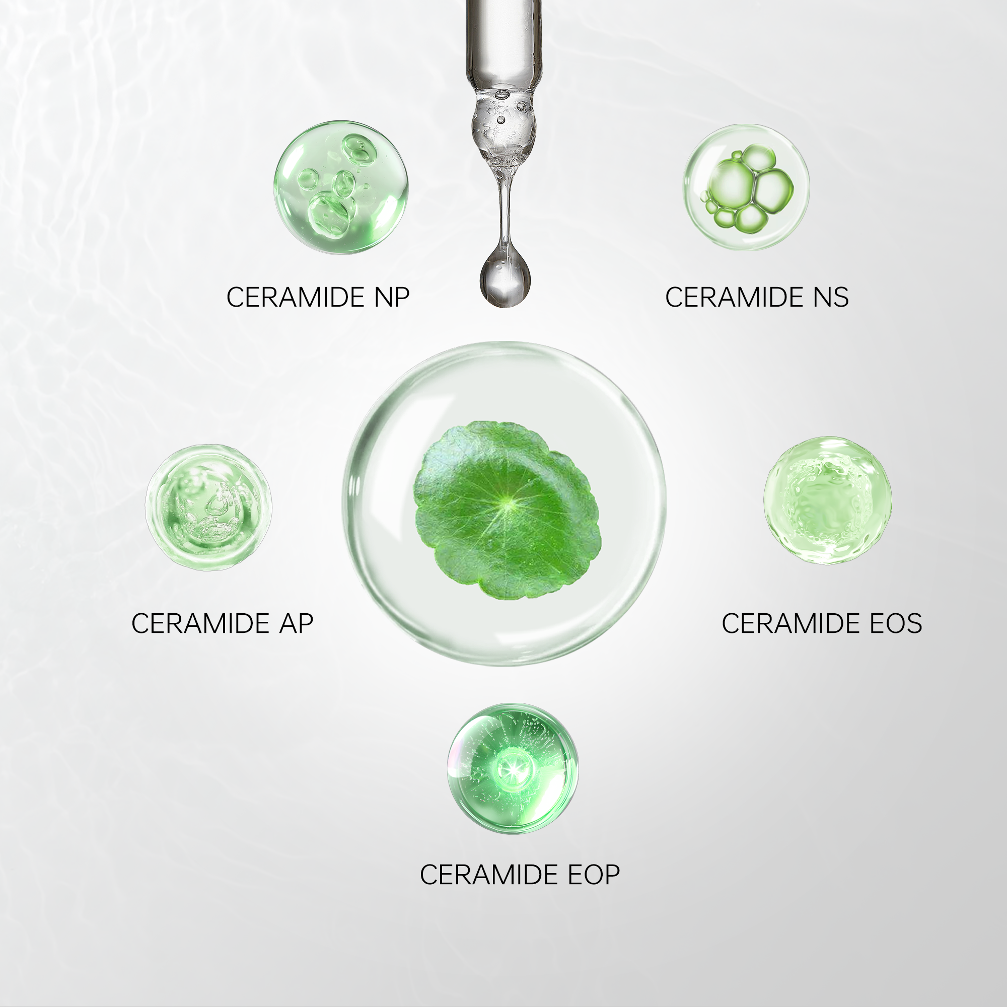 Ceramide Serum