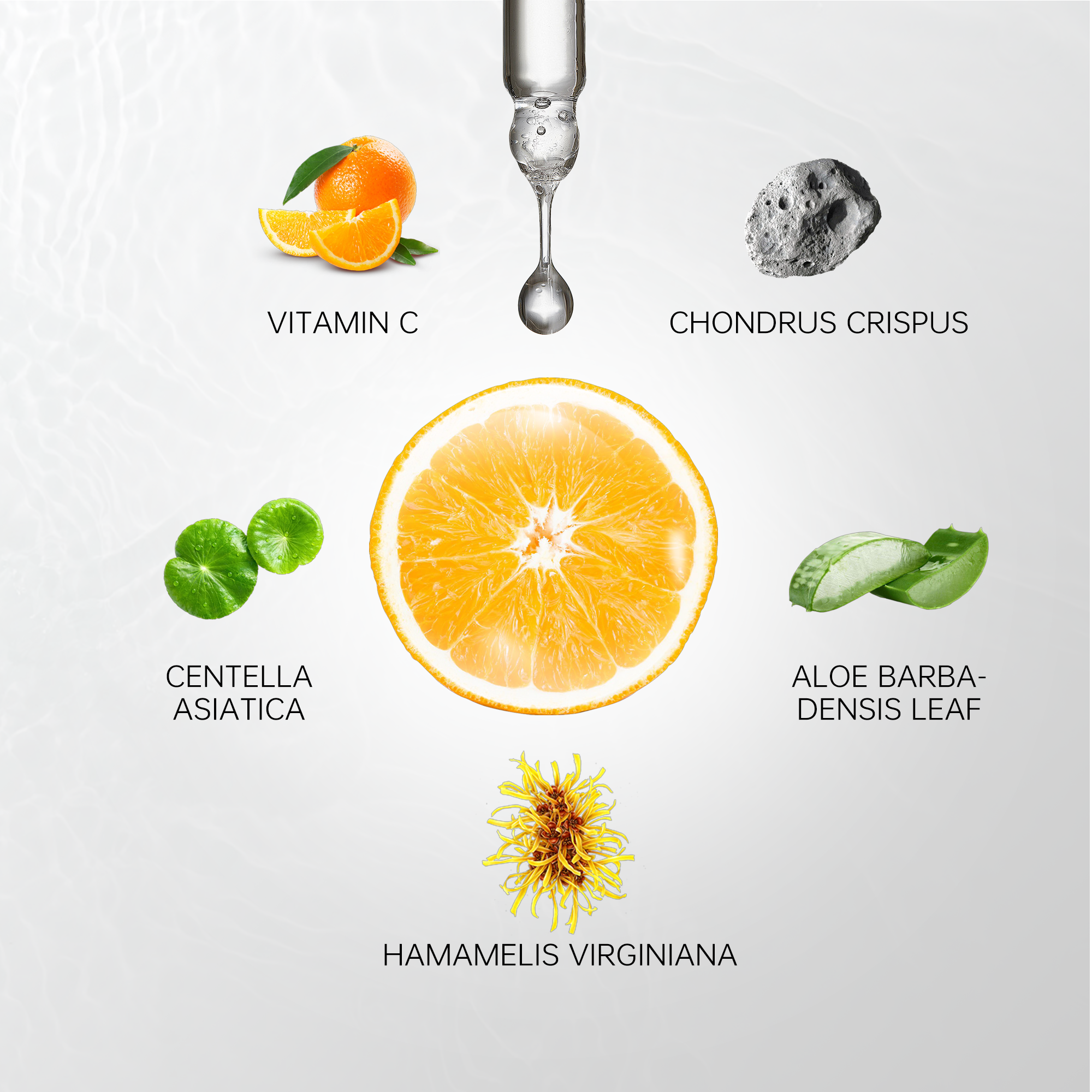 Vitamin C Brightening Serum - 60mL