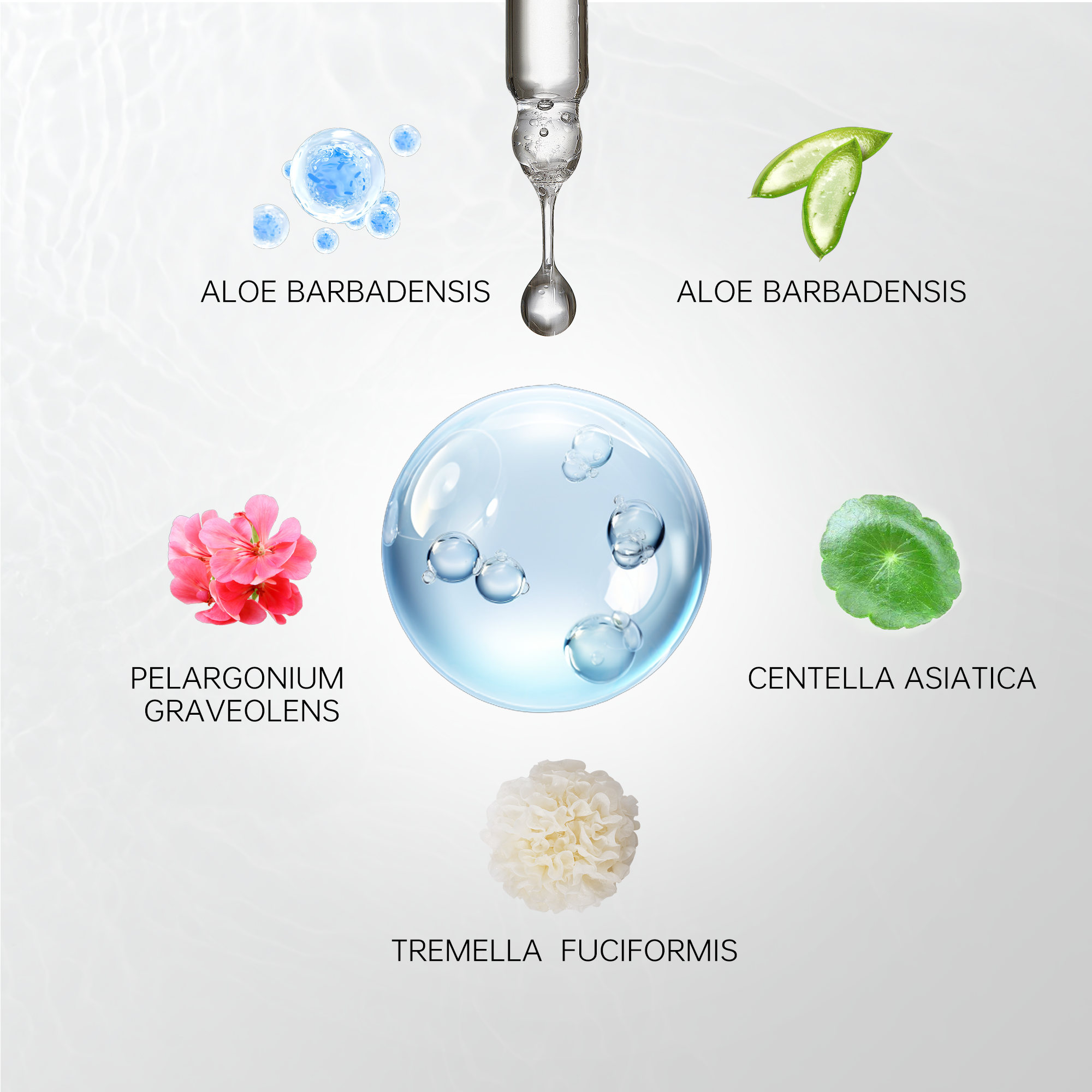 Hyaluronic Acid Serum